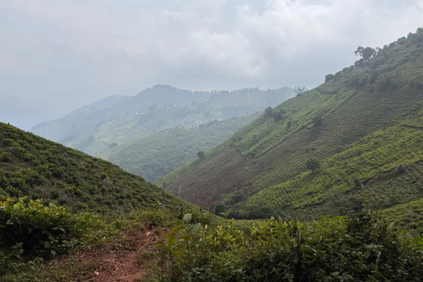 Kigezi en het zuidwesten