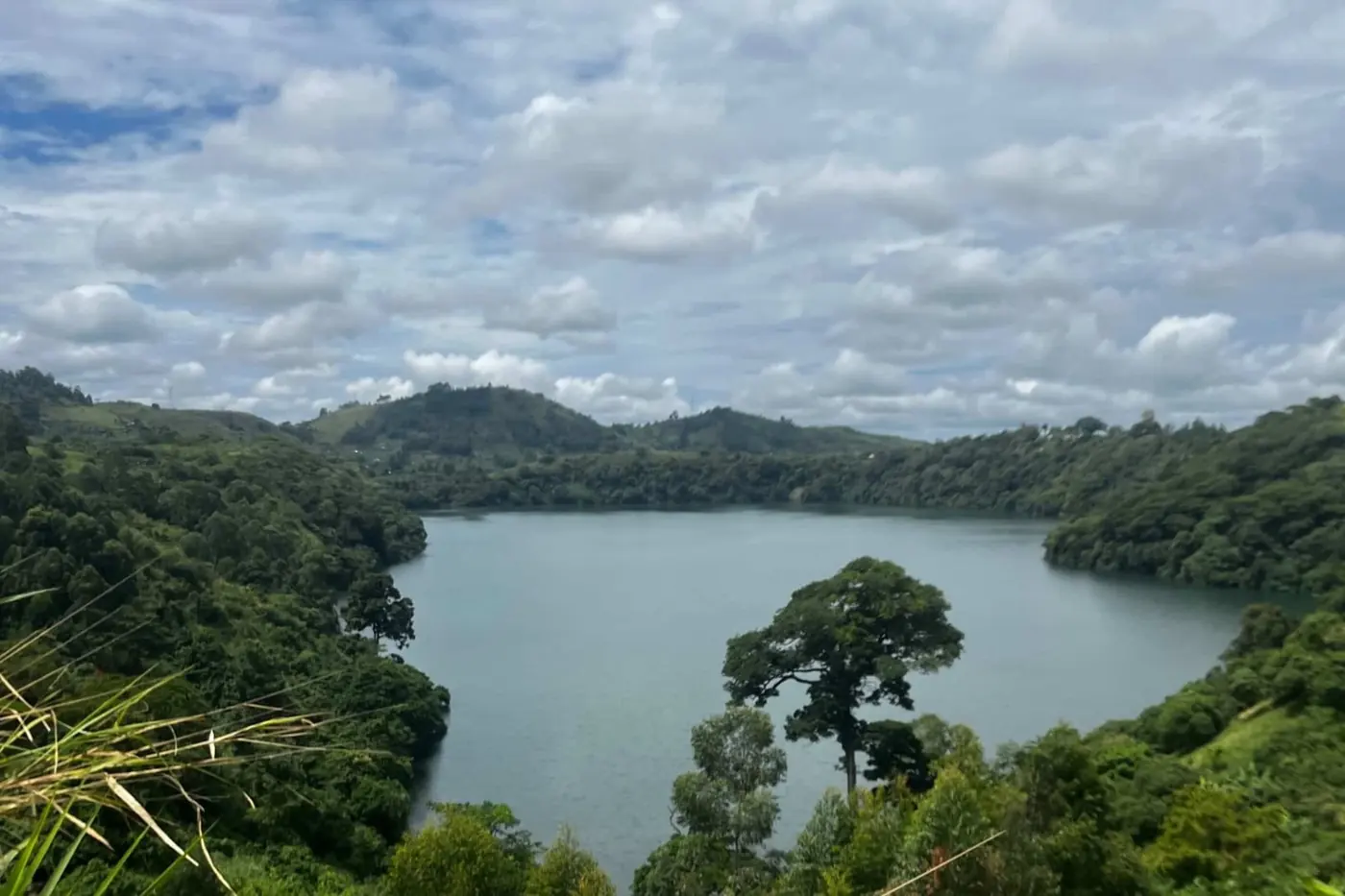 Toro en de Rwenzori
