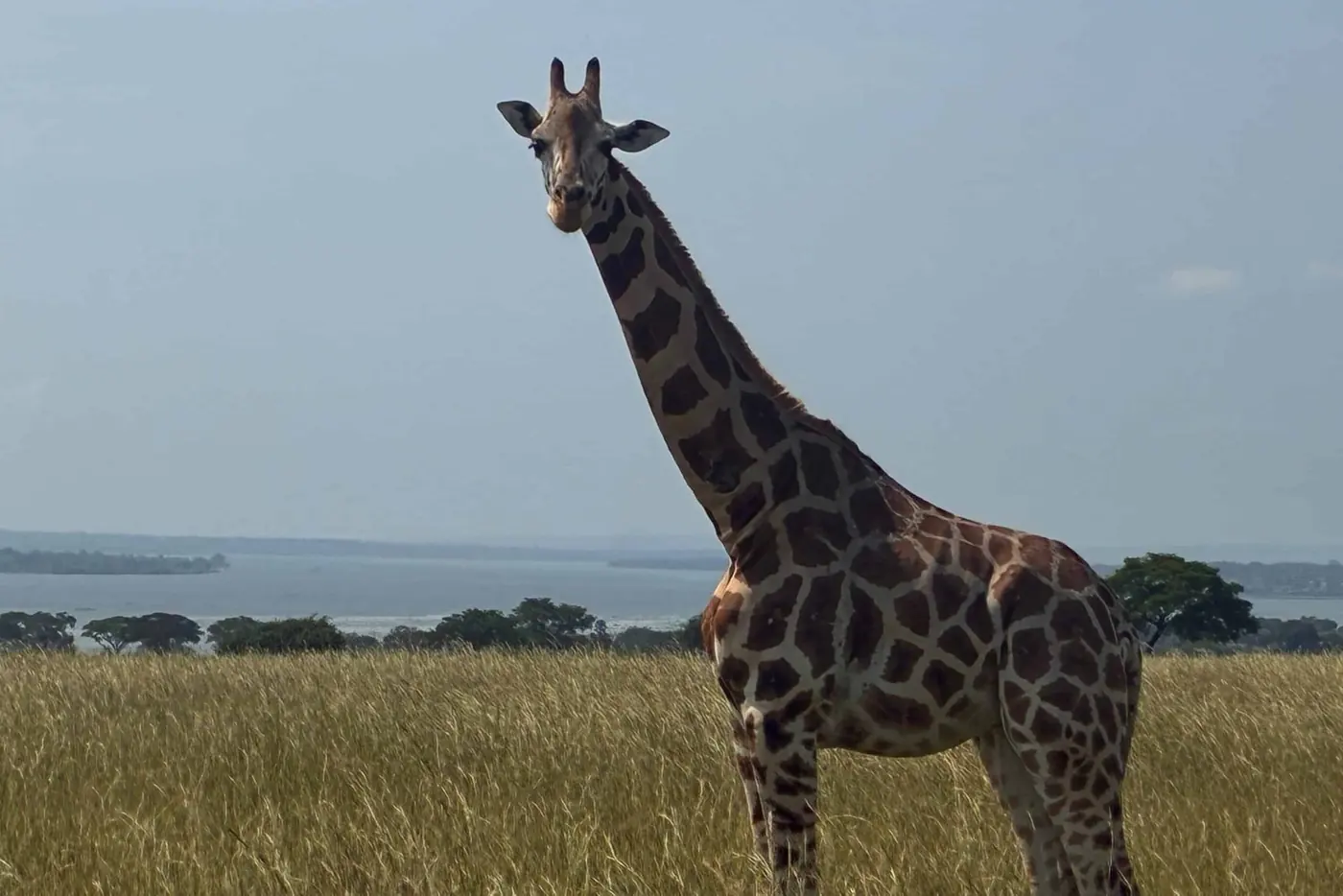 Bunyoro en de Albertine
